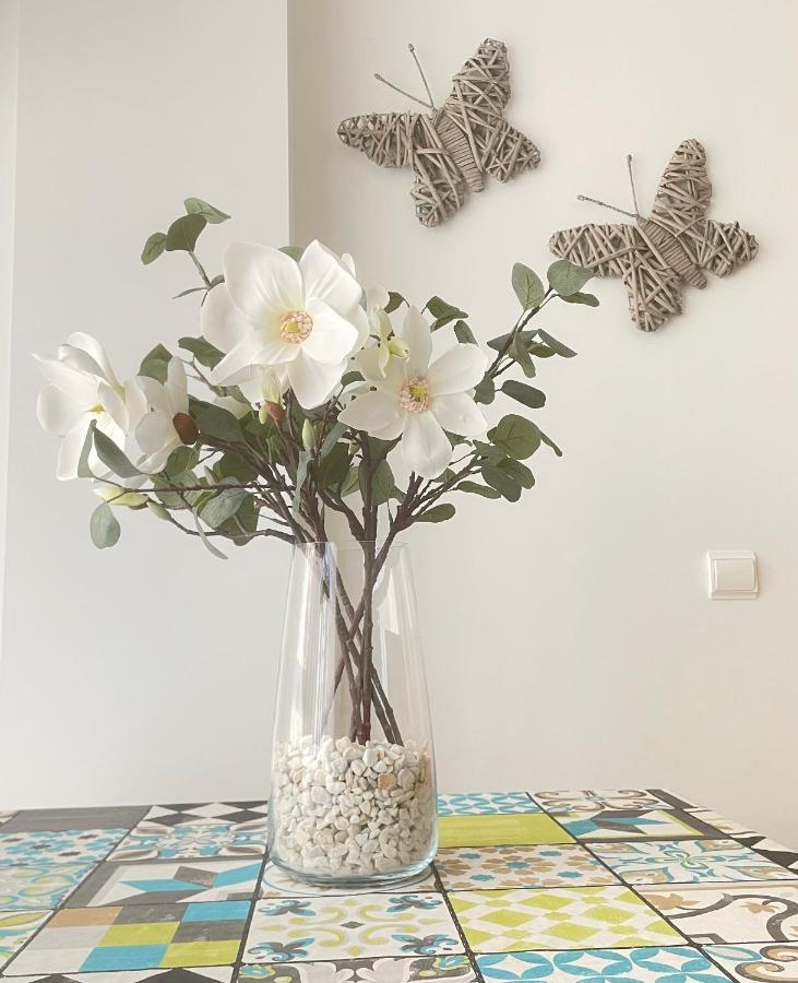 Apartamento Pinares Apartman Soria Kültér fotó